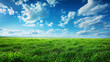 Green field and blue sky with clouds. Nature composition. Landscape.