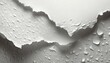 Illustration of torn and wet white paper texture.
