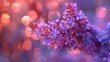 Explore the mesmerizing charm of soft focus backgrounds with dreamy blooms in your design projects
