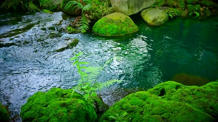 Poster - Clear water flows through the rocks into a small stream in the shady garden, Chiang Mai Province.