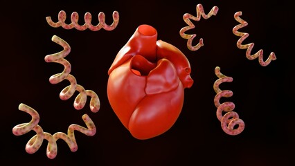 Wall Mural - 3d rendering of Cardiovascular syphilis refers to the infection of the heart and related blood vessels by the syphilis bacteria