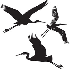 Wall Mural - Set of Black Silhouette Birds flying 