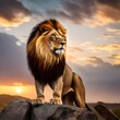 Lion, powerful, muscular, golden brown fur, sharp claws, fierce eyes, majestic mane, standing on a rock, watching the sunrise 