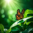 Butterfly on green leaves nature wallpaper peaceful eco background with shallow focus 