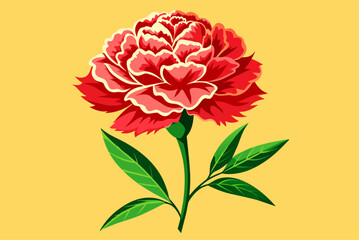 Poster - carnation background is