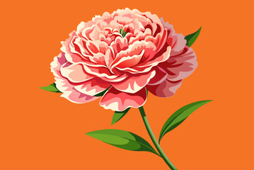 Poster - carnation background is