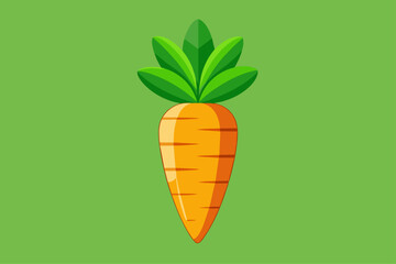 Poster - carrot vegetable background