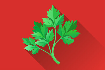 cilantro vegetable background