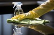 Woman cleaning electric stove with spray bottle and microfiber cloth in kitchen, closeup