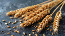 Wheat Ears With Wheat Grains On Dark Background