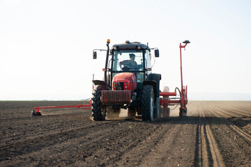 Wall Mural - Sowing crops at agricultural fields in spring