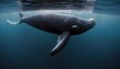 A Bowhead Whale Diving Down To The Ocean Floor