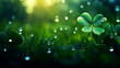 Banner with clover and raindrops, sun rays on defocus background with highlights. Illustration with space for copy, text, and advertising. Valentine's day illustration, clover symbol of good luck