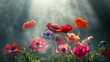 Beautiful red, orange, pink anemone flowers in the fog on a dark background