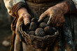Expensive black truffles mushrooms in wicker basket in hands of woman farmer