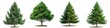 Set of evergreen trees isolated on transparent background
