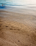 Fototapeta Tęcza - Gentle waves on the beach with golden sand