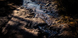 Fototapeta Tęcza - A tiny stream carving in the ground