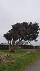 Canvas Print - Point de CORSEN (Finistère)