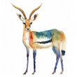 Hand-painted watercolor illustration of an elegant gazelle with vibrant, multicolored brush strokes, isolated on a white background with ample space for text