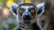 wildlife photography, authentic photo of a lemur in natural habitat, taken with telephoto lenses, for relaxing animal wallpaper and more