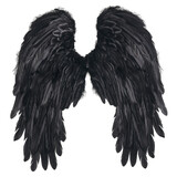 Fototapeta Pokój dzieciecy - Black wings. Ai generated image