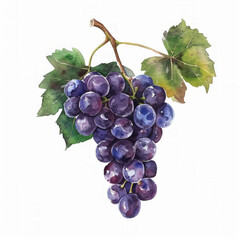 Wall Mural - Watercolor illustration of a bunch of ripe purple grapes with green leaves, ideal for backgrounds or culinary themed designs, with space for text