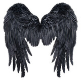 Fototapeta Desenie - Black wings. Ai generated image