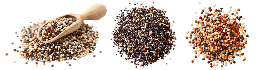 Wall Mural - Collection of PNG. Quinoa grains isolated on a transparent background.