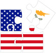 USA - Cyprus : puzzle shapes with flag
