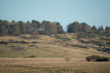 Wall Mural - British army AgustaWestland AW159 Wildcat AH1 helicopter in low level flight over countryside