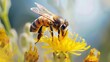Generative AI : ying honeybee collecting pollen at yellow flower