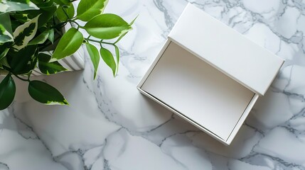 Aufkleber - Generative AI : White box open on marble table with green plant, flatlay