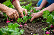 Close-up of diverse hands planting radishes, showcasing teamwork in gardening
