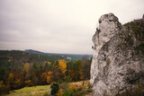 Fototapeta Kwiaty - wspinacze na skałkach na tle jesiennych, kolorowych drzew.