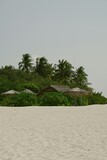 Fototapeta Panele - beach with palm trees