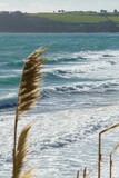 Fototapeta Panele - waves on the beach