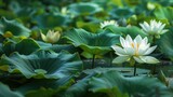 lotus lily Nymphaea pubescens opening,generative ai, 
