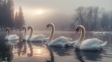 A Group Of Swans In A Lake. Generative AI.