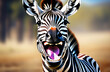 Funny zebra with wide smile , laughing  on blurred background