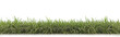 grass row di cut and removed original background PNG transparent