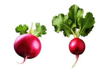 Wall Mural - Fresh red beet isolated soft smooth lighting