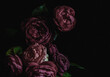 © Yevhenii Khil - Moody flowers. Vintage bouquet of dark roses on a black background. Blur and selective focus. Low key photo.