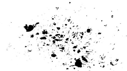 Wall Mural - black ink liquid splash background