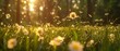  the sun shines brightly on a field of grass with daisies in the foreground and blurry daisies in the foreground.