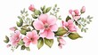 Watercolor pink flower bouquets clipart illustration and spring floral branch with green leaves decoration on white background