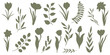 Set of elegant silhouettes of flowers, branches and leaves. Thin hand drawn vector botanical elements	
