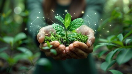 Poster - Symbols representing ecology and a green sprout in human hands