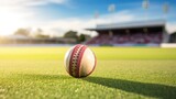 Fototapeta Sport - cricket leather ball resting on bat on the stadium pitch.


