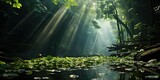 Fototapeta Natura - Leafy Lightshow - Sunbeams Dancing on Nature's Verdant Stage Witness a mesmerizing lightshow as sunbeams dance on nature's verdant stage. Capture the interplay of light and leaves, 